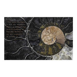 Poster titled:  "Fossil Ammonite", Large 24" x 36" by Ron Mellott