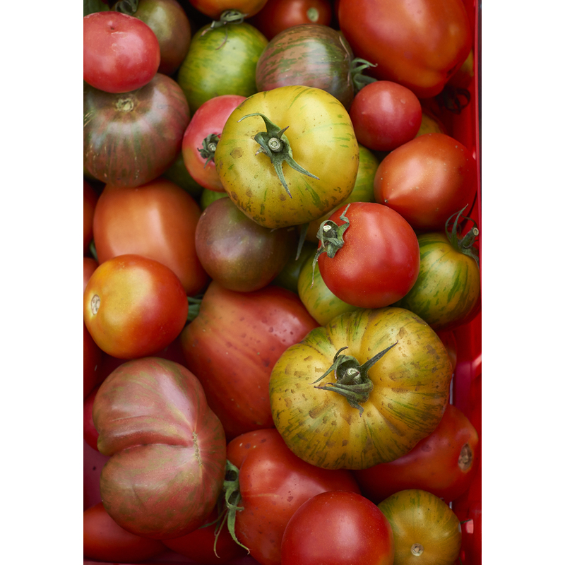 farmers market tomatoes..... by Scott Fine