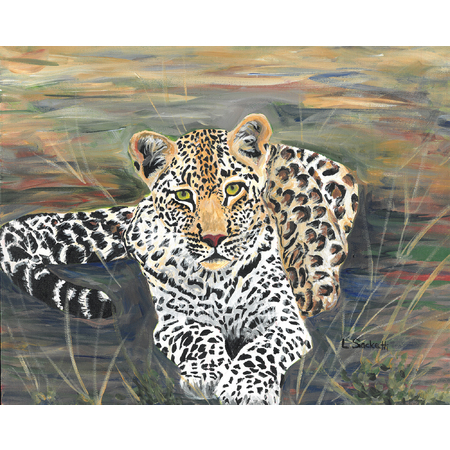 Medium leopard resting 10x7