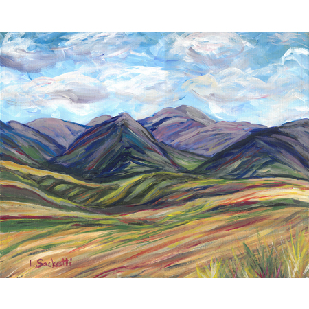 Medium fields and mountains 8x10
