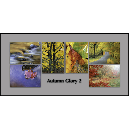 Medium autumn glory 2 notecard set facebook