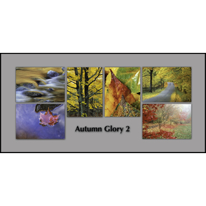 NOTECARD set:  "Autumn Glory 2" by Ron Mellott