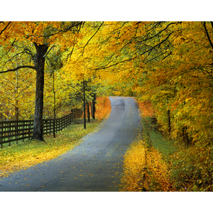 Country Road by Ron Mellott