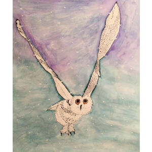Snowy Owl by robert Hilger