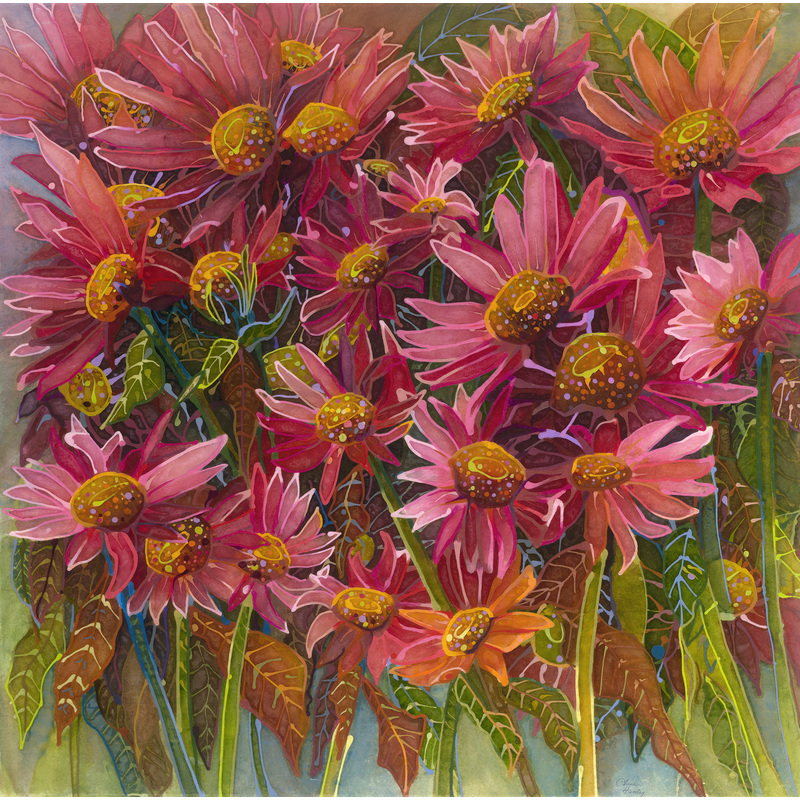Pink Coneflowers by Anne Hanley