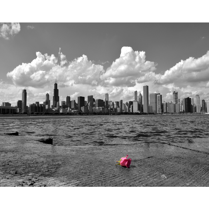 Skyline With Rose  by Brian Horan