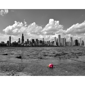 Small skyline with rose.xcf11x14