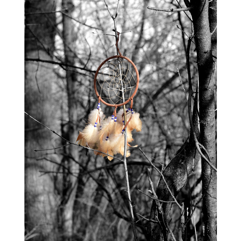 Dream Catcher in the Forest  by Brian Horan