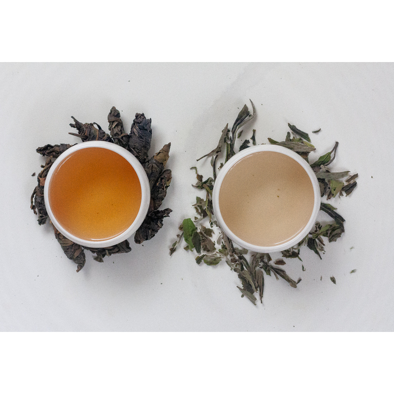 White tea bundle by Aureal Ojeda