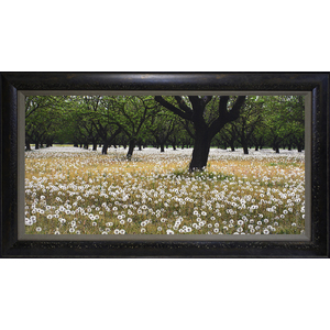 Dandelion Orchard by Ron Mellott