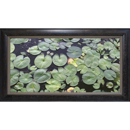 Medium indiana lilypads f for cl