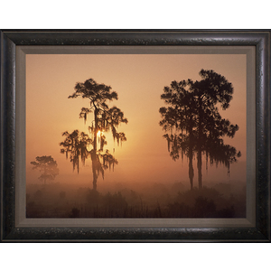 Florida Sunrise by Ron Mellott