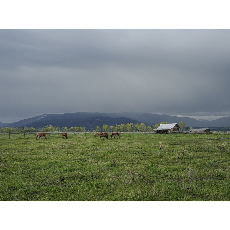 Horse Ranch Under Stormy Skies by Sharon McClung