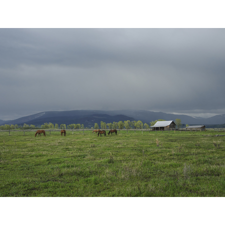 Medium horse ranch under stormy skies
