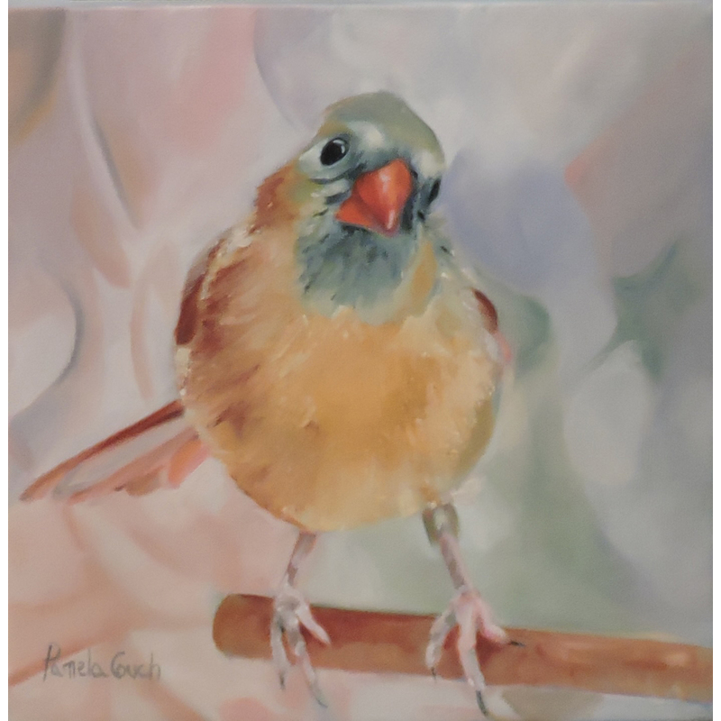 Female Cardinal 8" x 8" by Pamela Couch
