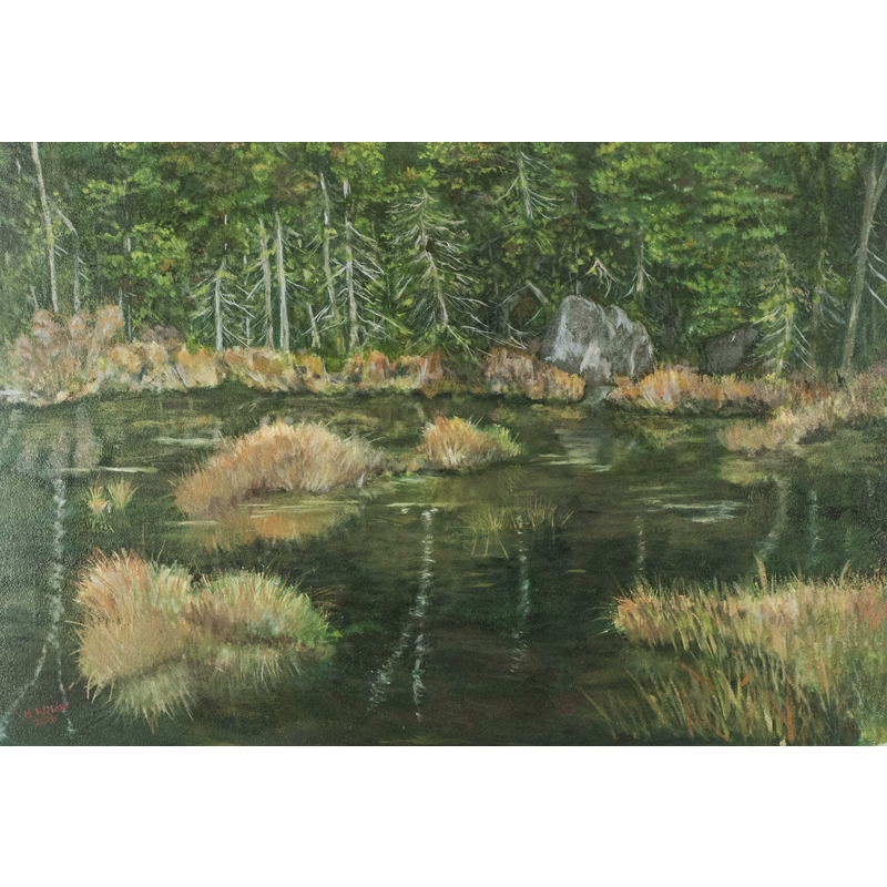 Maine Swamp by Henry Wilder