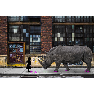 Real Rhinos Wear Pink by Matthew Coglianese