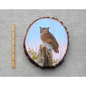 Owl by Larry Schneider