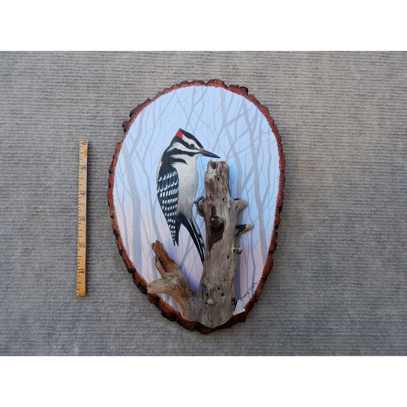 Woodpecker by Larry Schneider