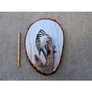 Woodpecker by Larry Schneider