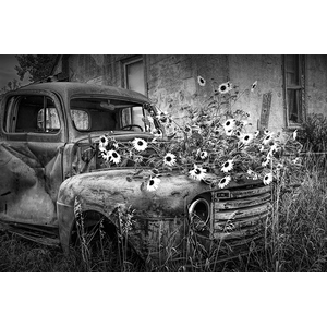 Ford Truck with Flowers abandoned in the Ghost Town by Okaton South Dakota by Randall Nyhof