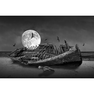 Moon Shipwreck by Randall Nyhof