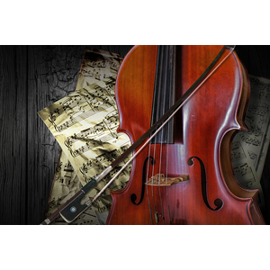 Classical Cello by Randall Nyhof