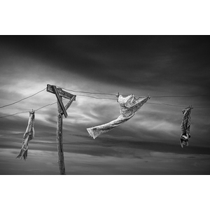Wind Blown Wash in Black and White on the Clothesline by Randall Nyhof