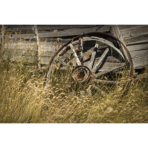 Old Broken Wheel of a Farm Wagon by Randall Nyhof