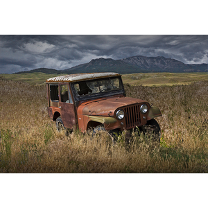 Willy Jeep in a field of grass by the Mountains by Randall Nyhof