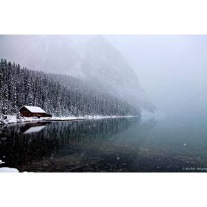 Lake Louise by Michele  Murphy 