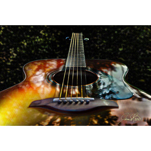 Season's Guitar Strings by Jamie Rood