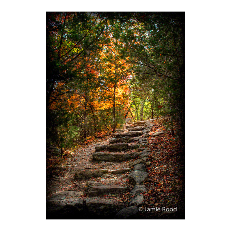 Steps to the Light by Jamie Rood