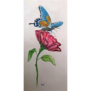 Butterfly Love by Joe Hudson
