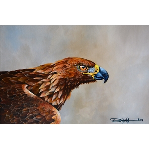 Golden Eagle head study by Dana Newman