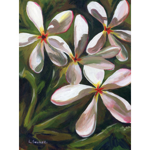White Flowers.  8" x 10"  limited edition Giclee by Linda Sacketti