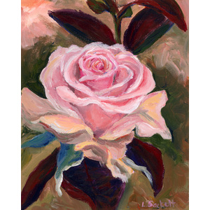 Pink rose.  8" x 10",  limited edition Giclee by Linda Sacketti