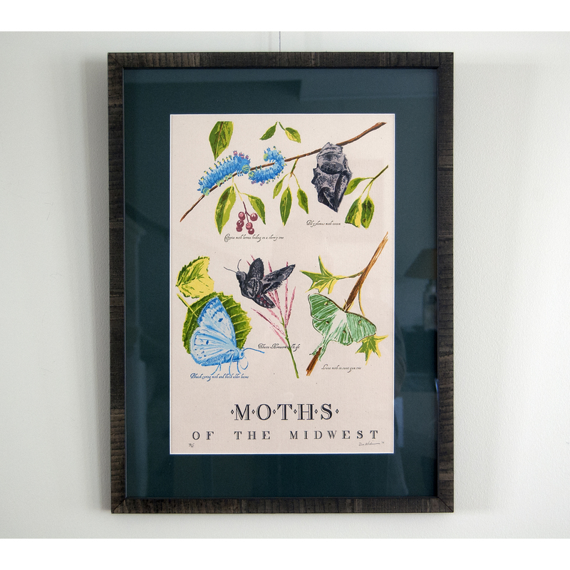 Moths of the Midwest, framed and matted – 19 color Letterpress on Cream Cordtone Paper (2014), item 136.70 by Don Widmer