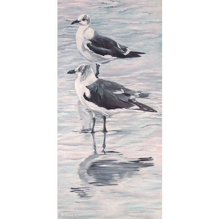 Medium seagulls