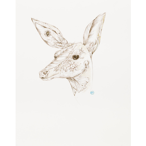 Deer by Karen Robey