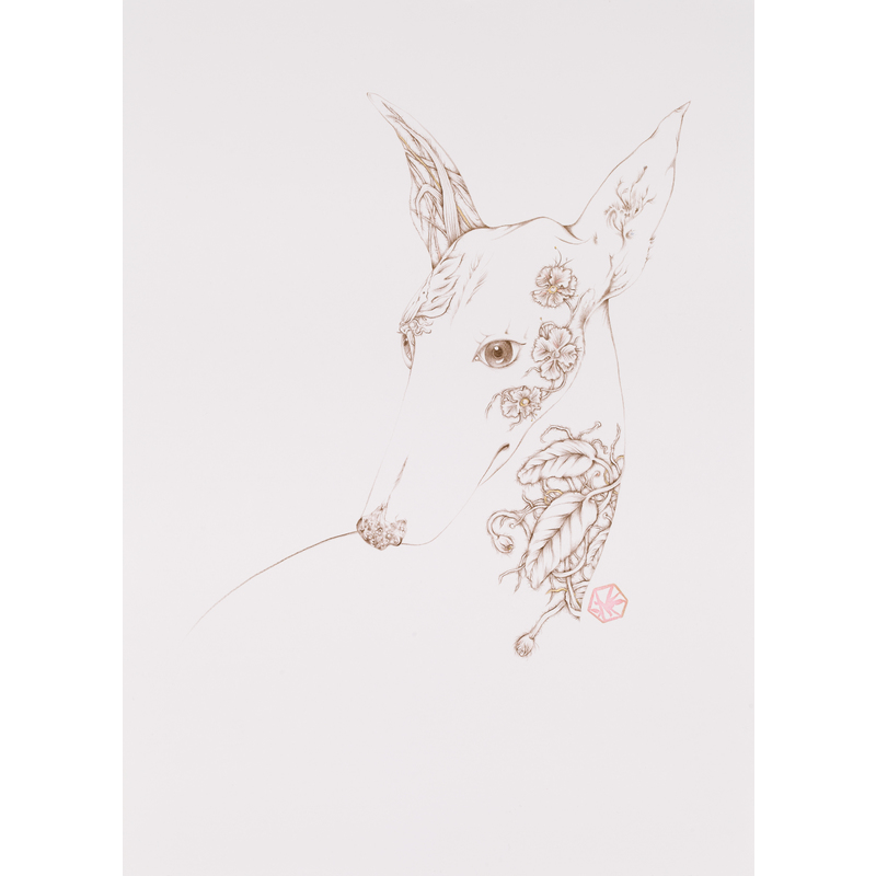 Greyhound by Karen Robey