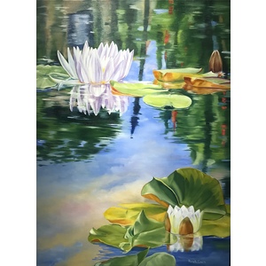 Nymphaea Garden by Pamela Couch