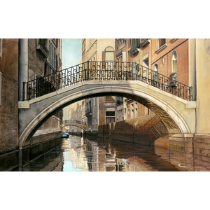 Venice Bridge by Michael Neamand