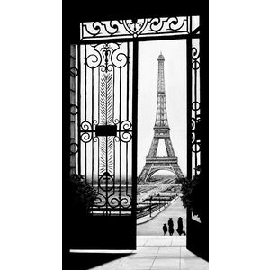 Vintage Paris by Michael Neamand