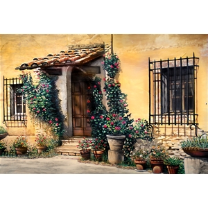 Tuscany Doorway by Michael Neamand