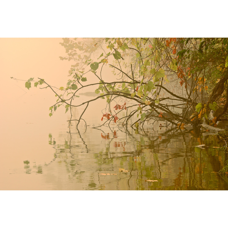 River Fog I by John Weller