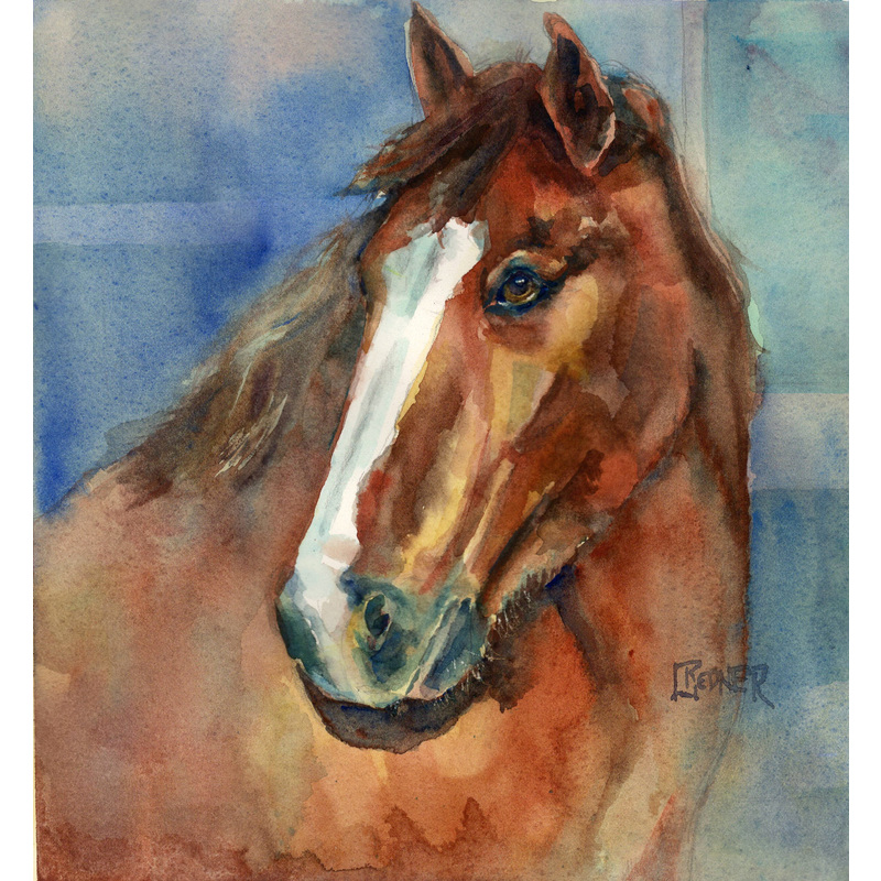 Rocky the Horse by Lynette Redner