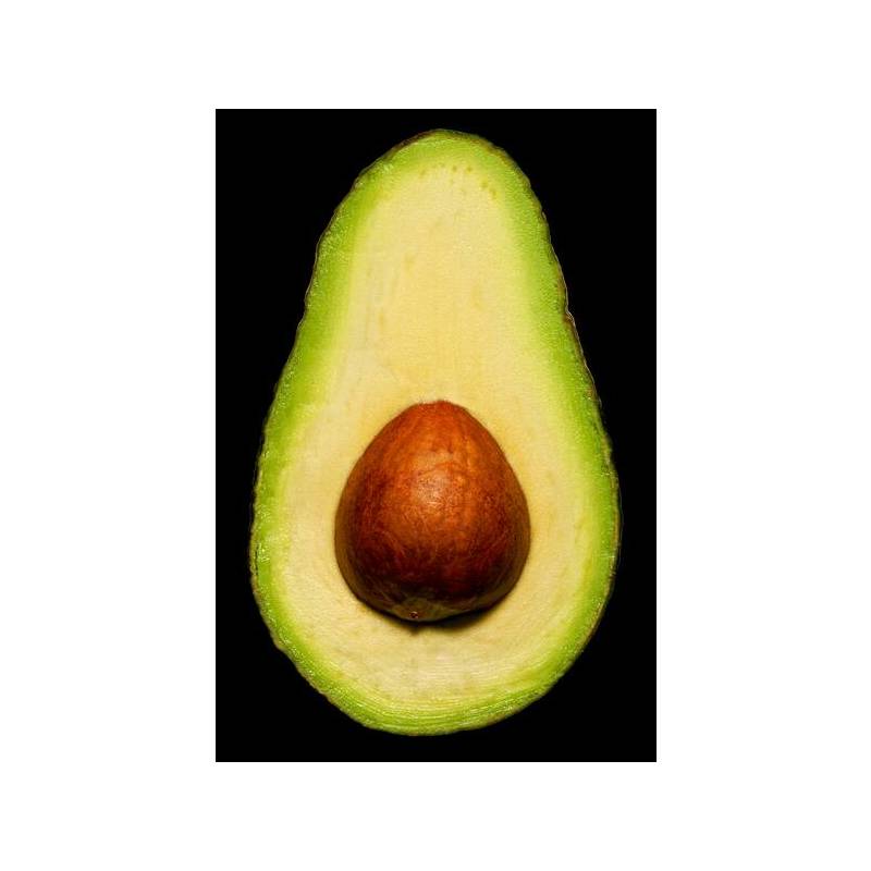 Avocado by Jon Walton