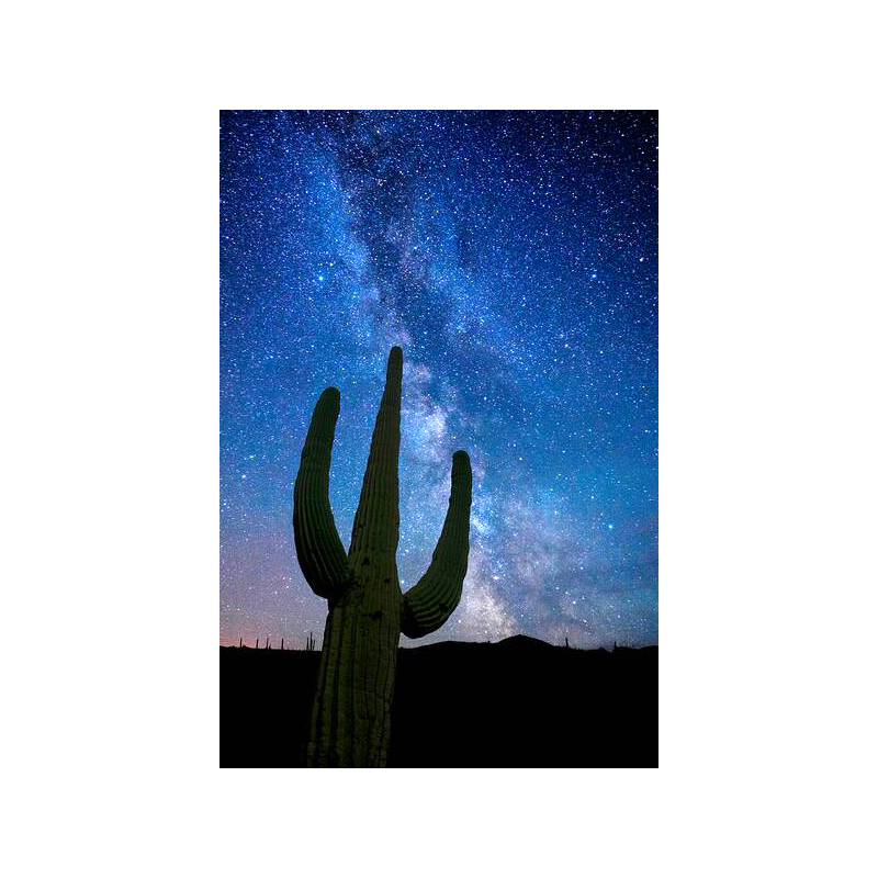 Milky Way Over Saguaro by Jon Walton