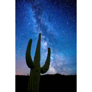 Milky Way Over Saguaro by Jon Walton